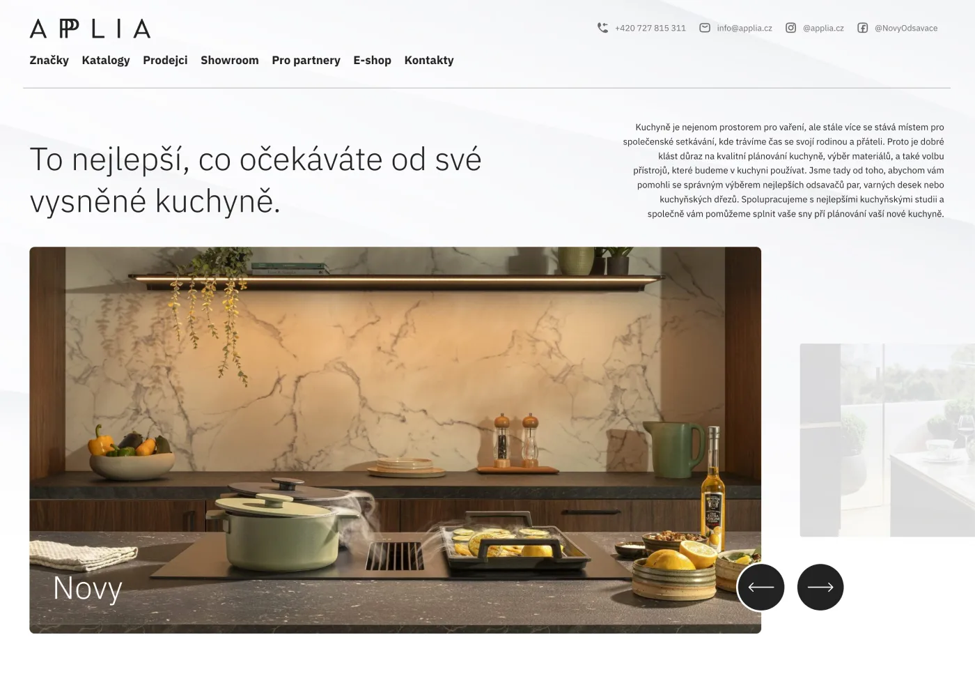 applia.cz - design & custom WordPress theme