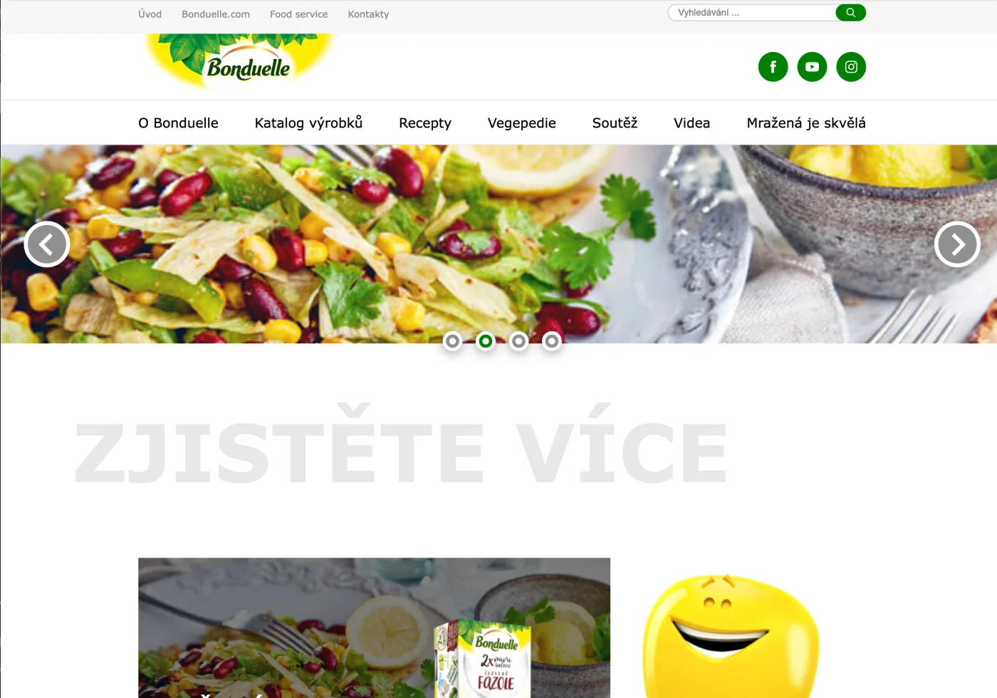 bonduelle.cz - website redesign & WordPress theme